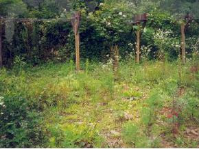 1449-2 Rice Creek Road Flag Pond, TN 37657 - Photo 2 of 3 Photo 2
