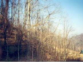1449-2 Rice Creek Road Flag Pond, TN 37657 - Photo 3 of 3 Photo 3