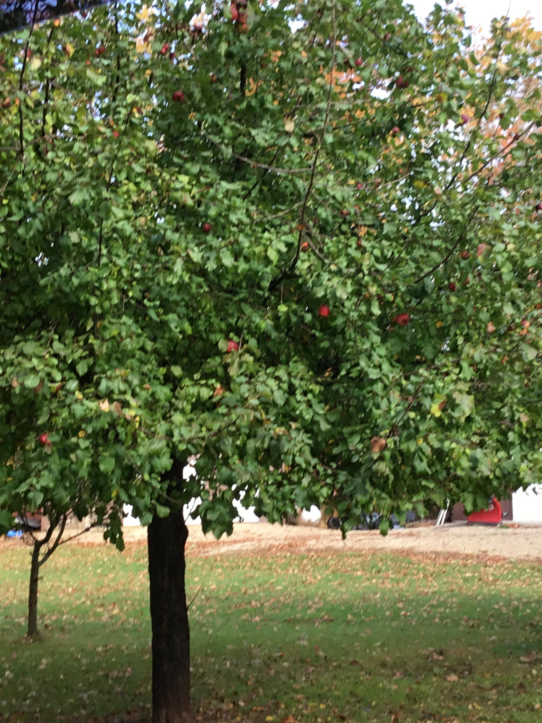 W6150 Steffens Lane Pembine, WI 54156 - Photo 5 of 39