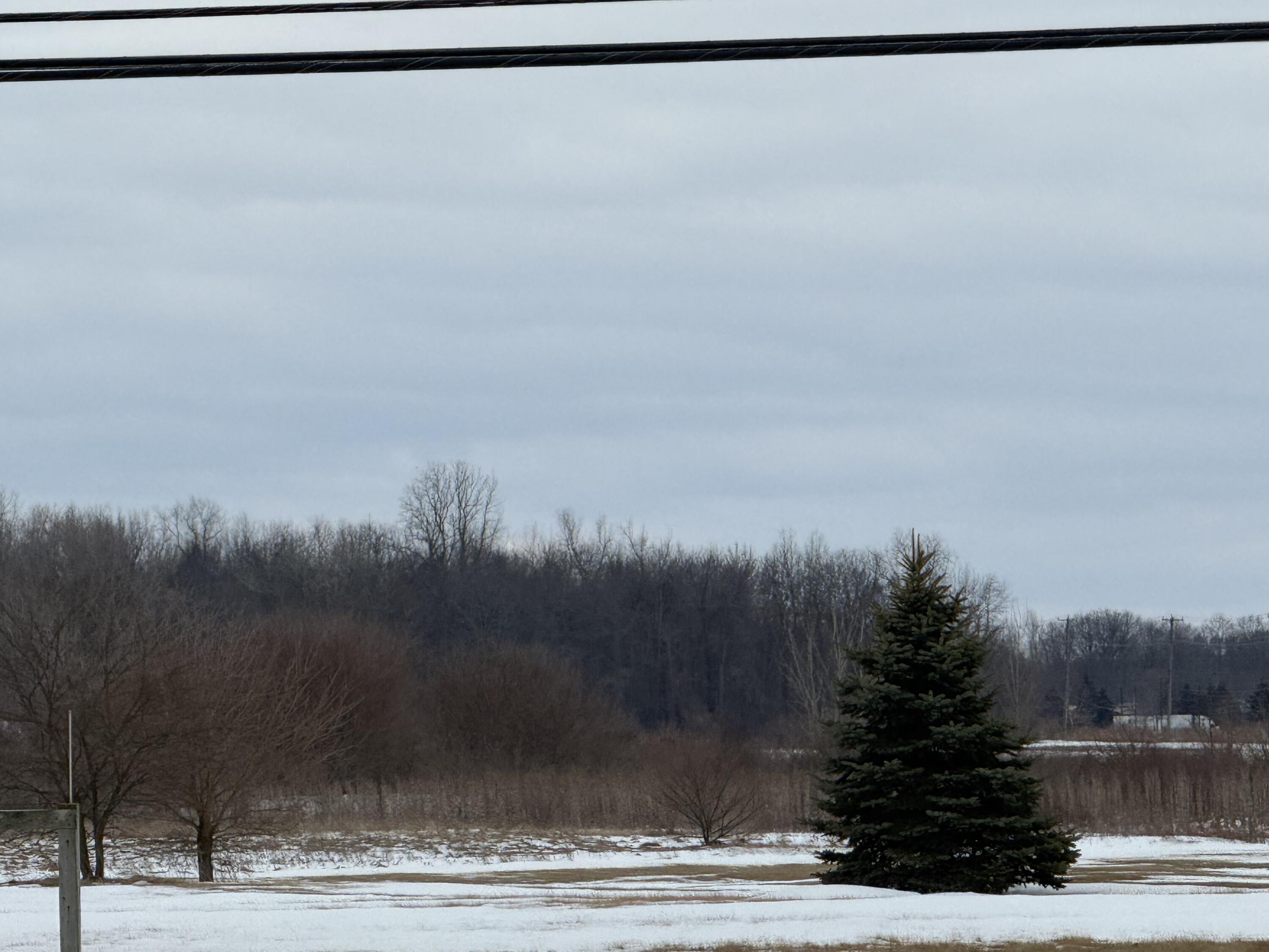 3301 South Custer Road Monroe, MI 48161 - Photo 3 of 6 3301 Custer Rd