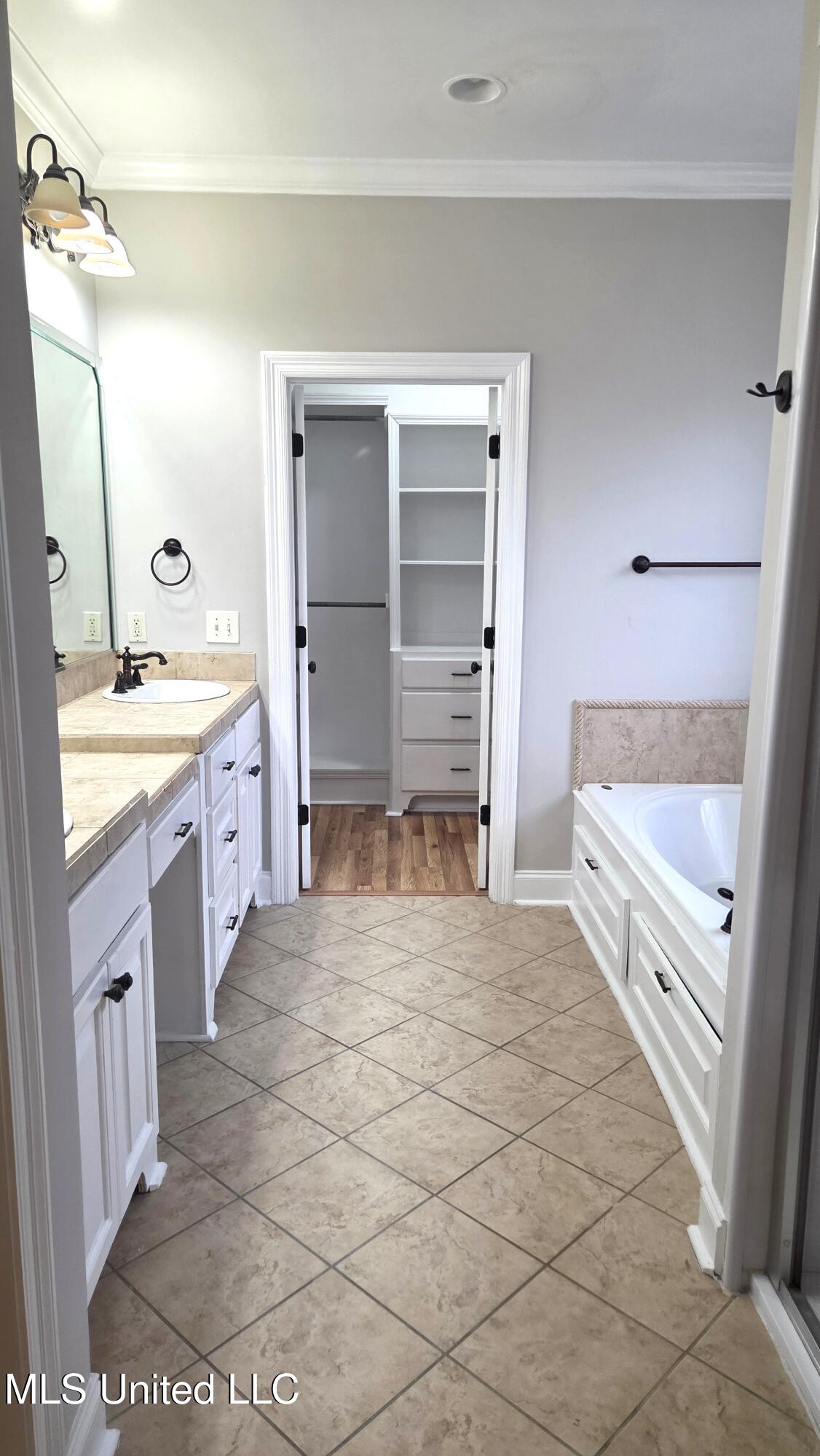 539 Turtle Lane Brandon, MS 39047 - Photo 20 of 40 MASTER BATH