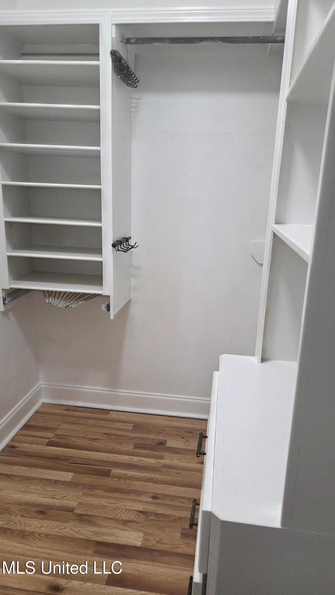 539 Turtle Lane Brandon, MS 39047 - Photo 24 of 40 MASTER BATH CLOSET