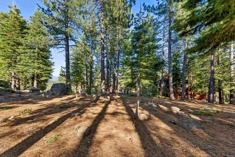 a view of a yard with large trees