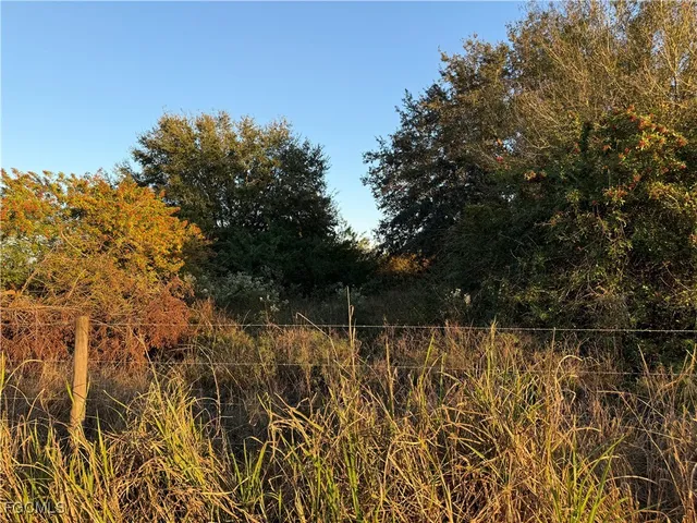 a view of a lake in middle of forest