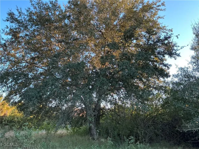 $741,900 | 5801 4th Road, LaBelle, FL 33935