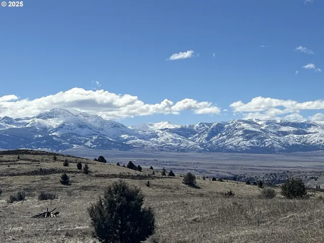 a view of a dry yard with trees