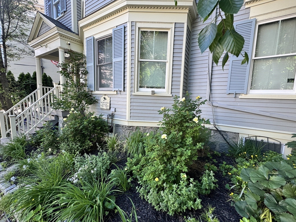 142 Calumet Street Boston, MA 02120 - Photo 2 of 42