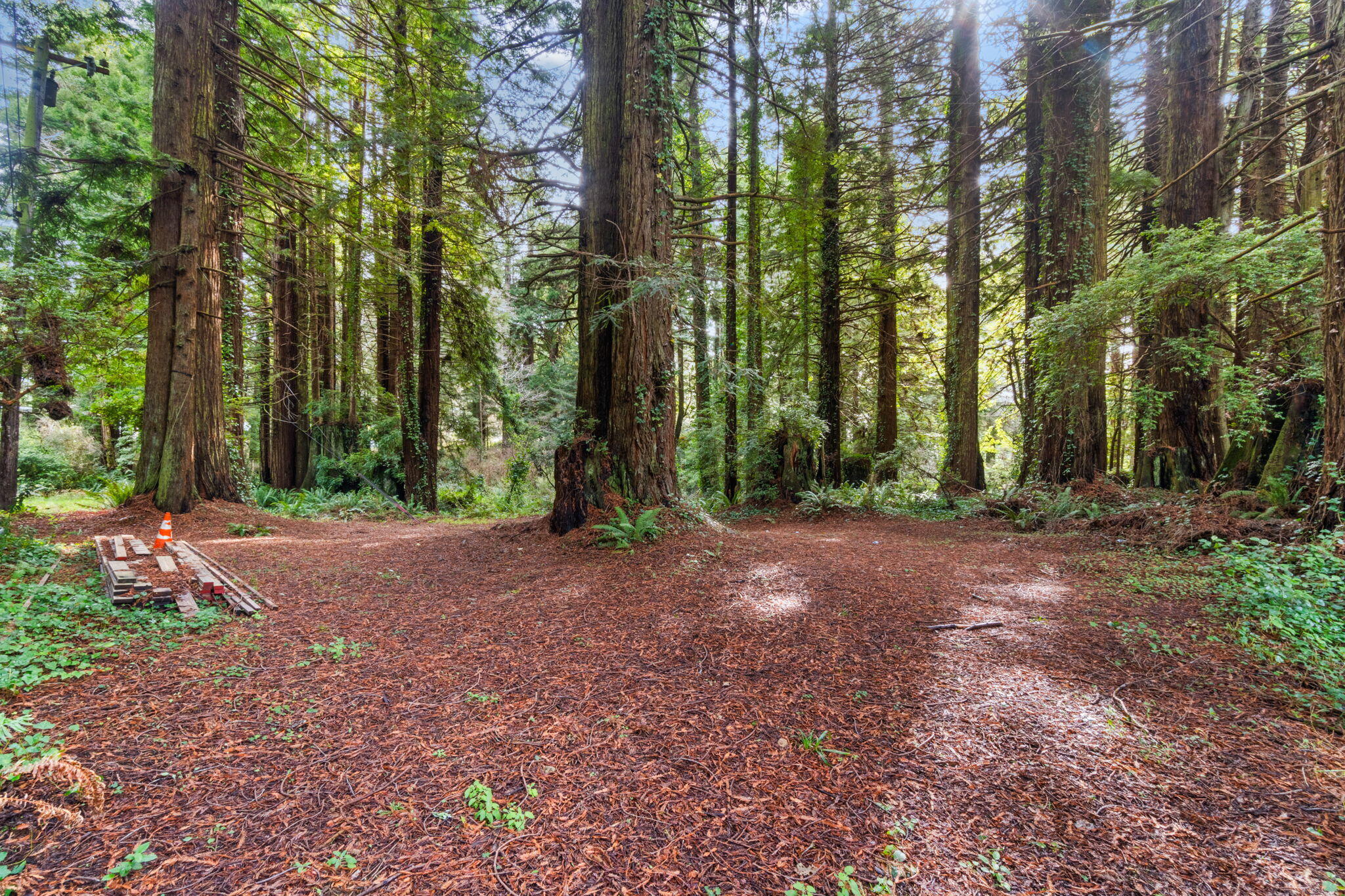 207 Lanford Road Trinidad, CA 95570 - Photo 11 of 16 11-web-or-mls-DSC08226_1