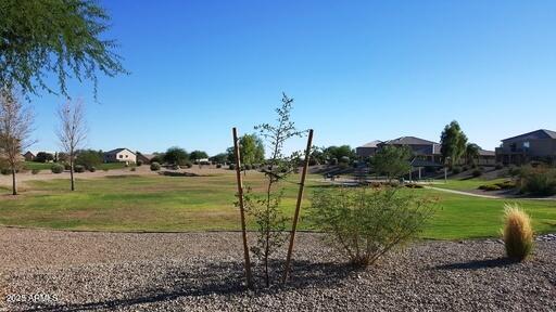 Undisclosed Address San Tan Valley, AZ 85143 - Photo 49 of 57 a view of a garden with a lake