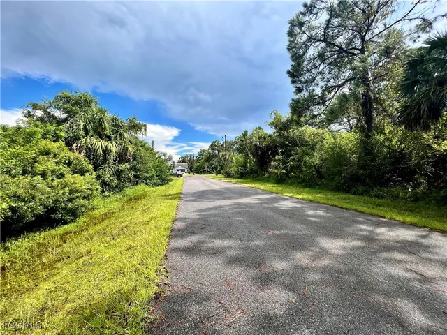 a view of a yard with a tree