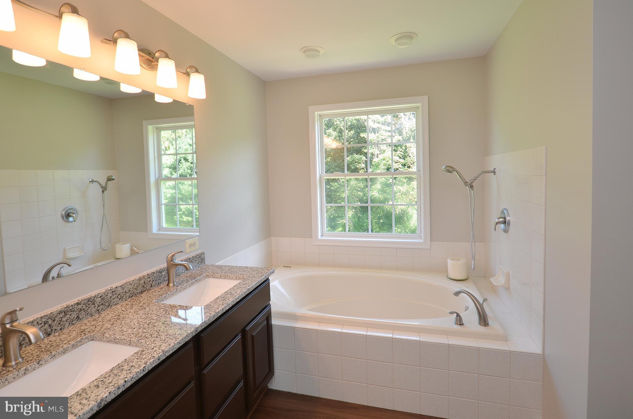 43430 Evans Pond Road Leesburg, VA 20176 - Photo 21 of 30 Bath (Master)