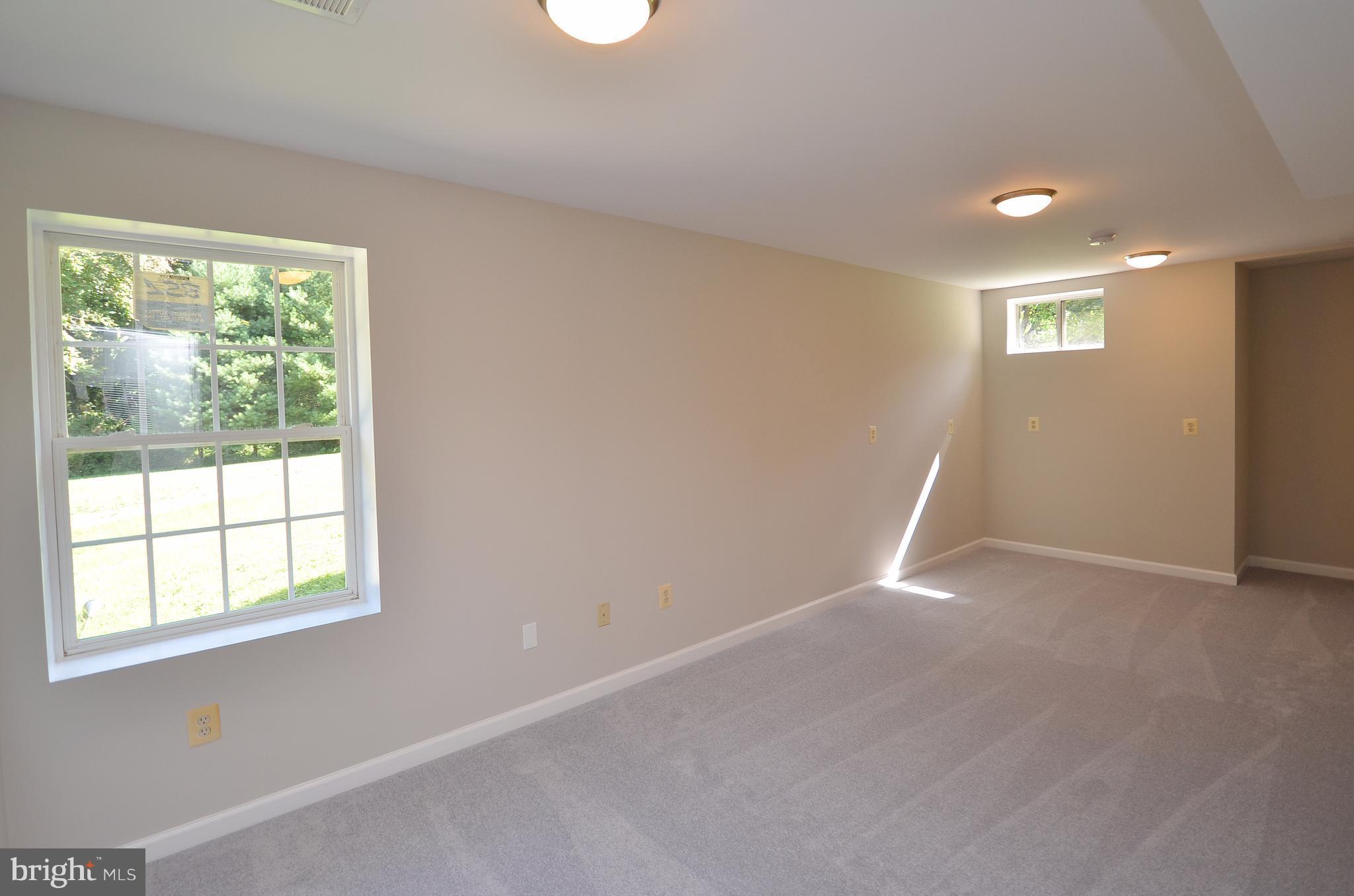 43430 Evans Pond Road Leesburg, VA 20176 - Photo 26 of 30 Basement Bedroom (#4)