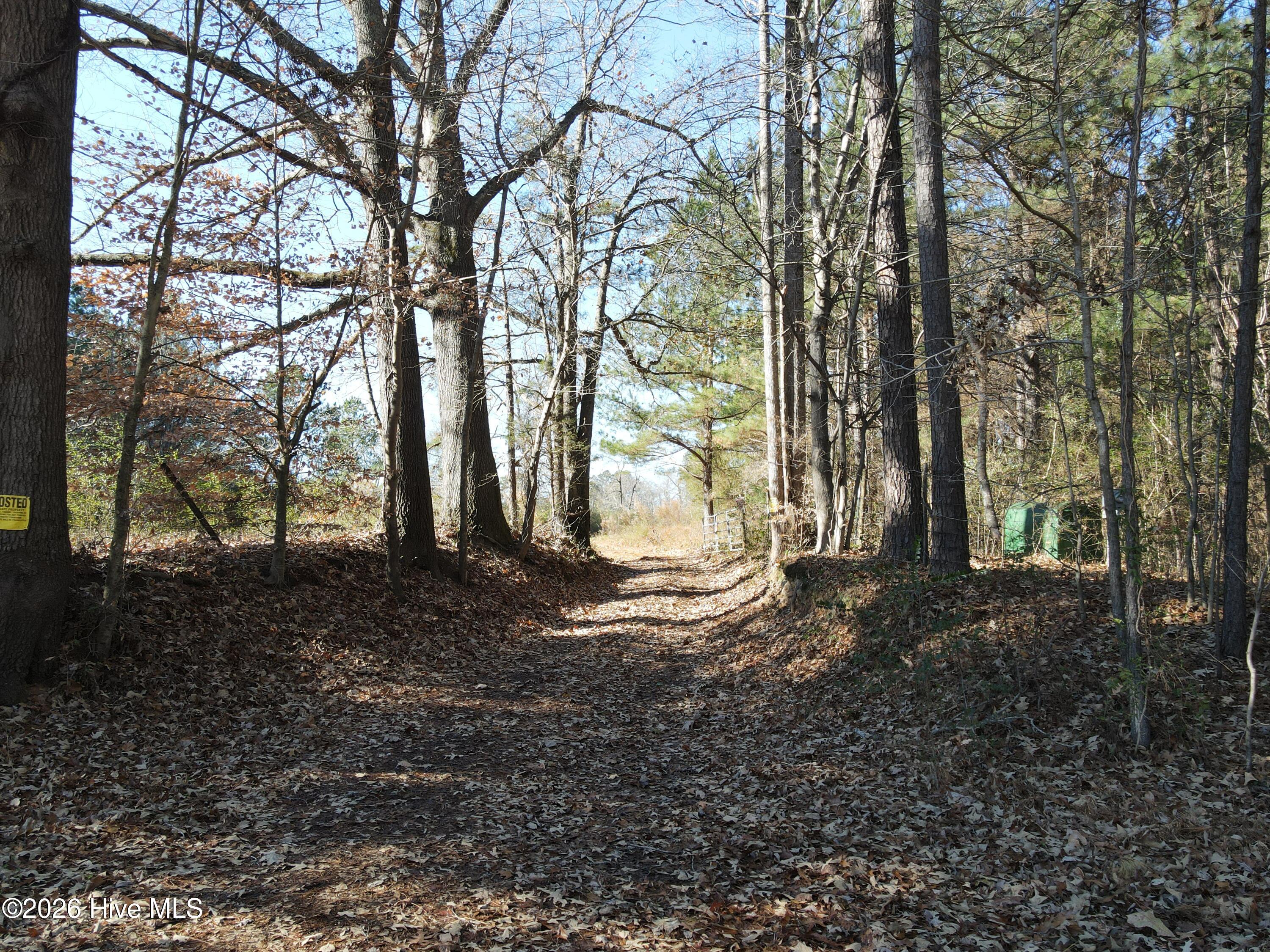 0 Sykes Road Nashville, NC 27856 - Photo 2 of 69 SR MLS 2