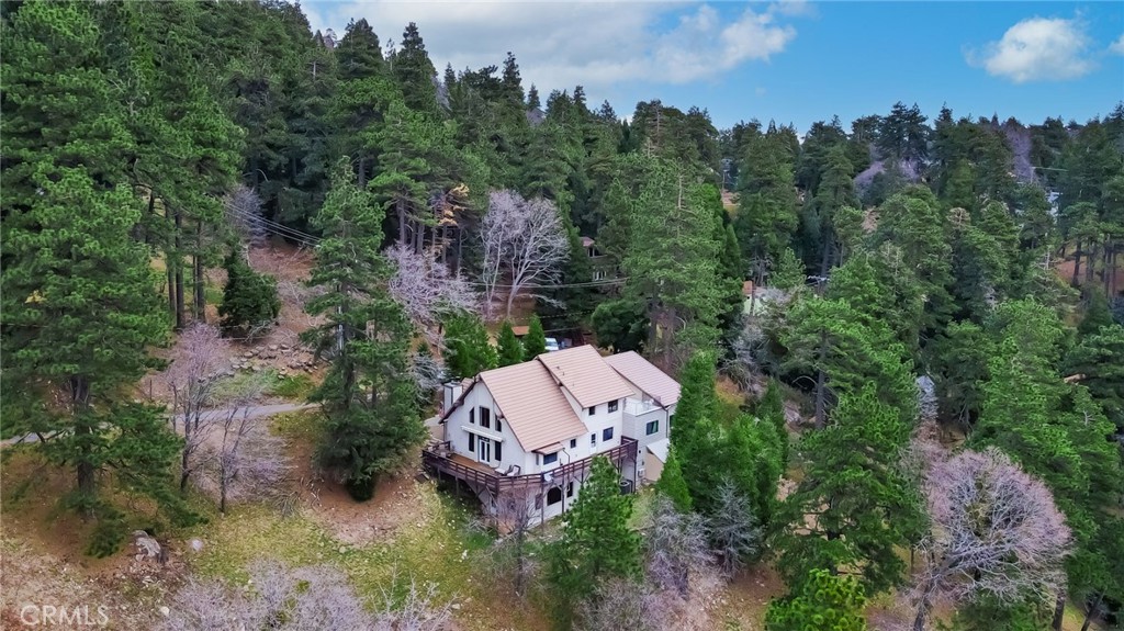 21775 Vista Road Cedarpines Park, CA 92322 - Photo 2 of 63