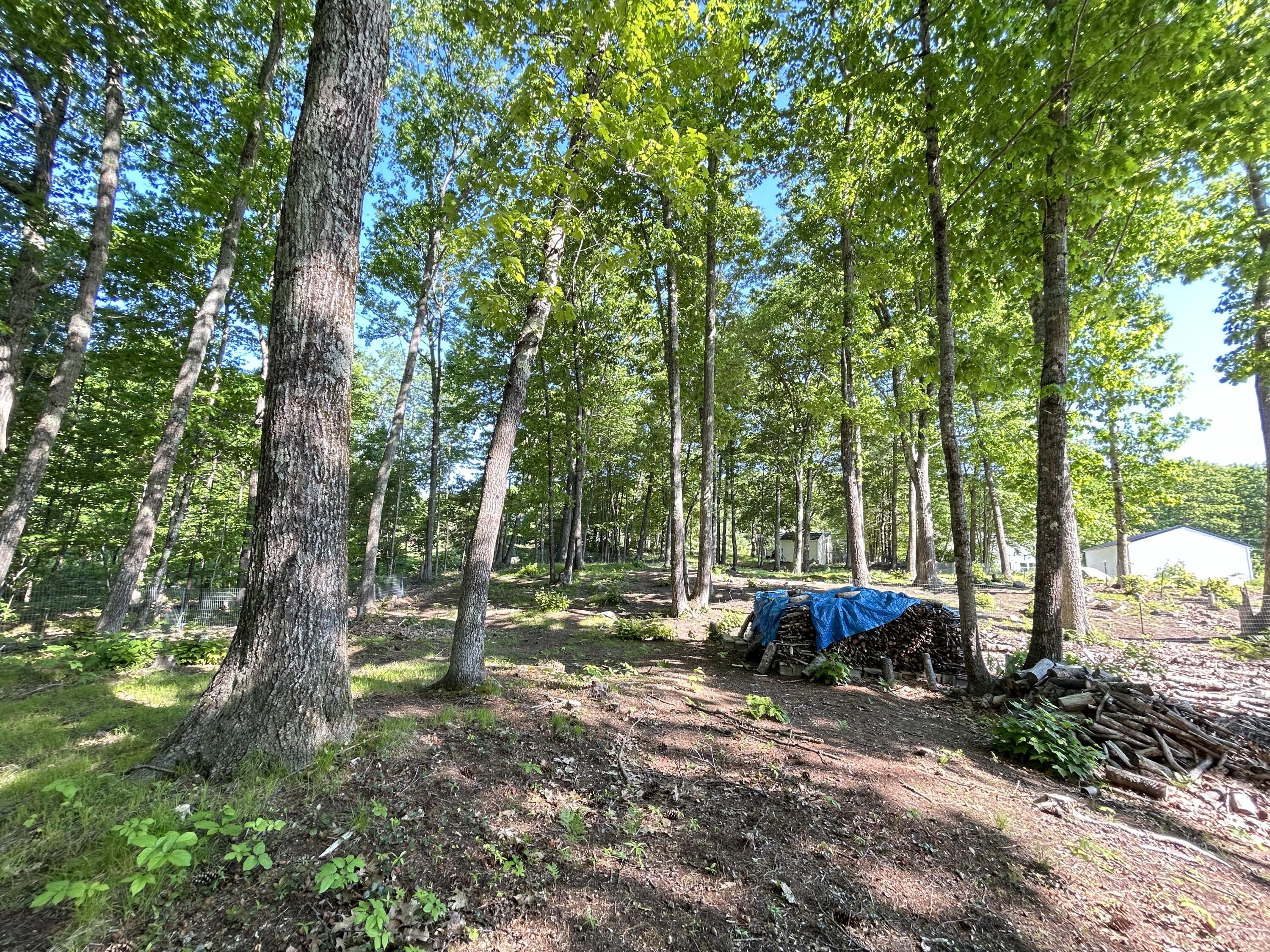 2240 Alfred Road Lyman, ME 04002 - Photo 31 of 37 IMG_4101