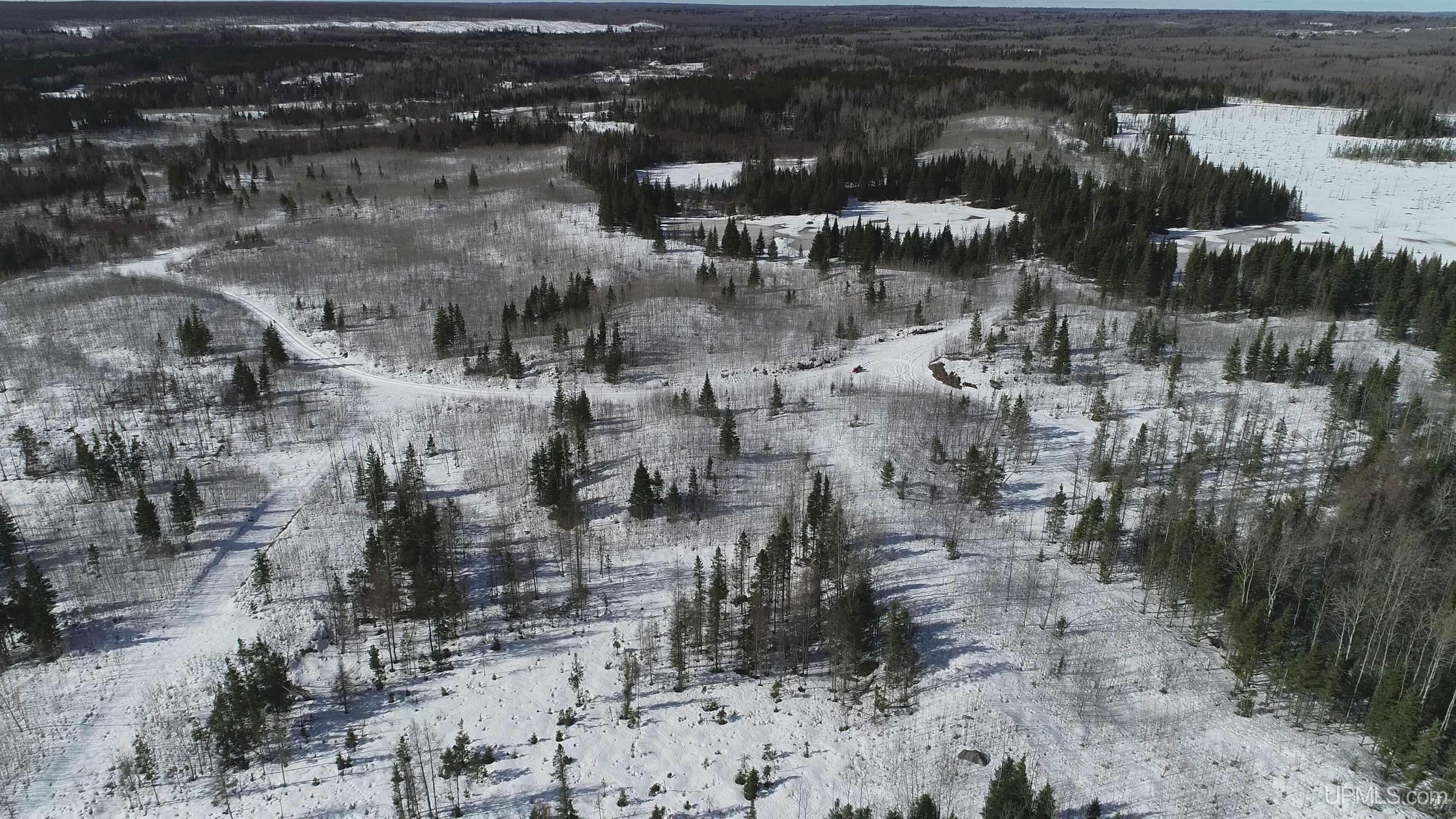 80-acres 80-acres 18th Road Republic, MI 49879 - Photo 20 of 25