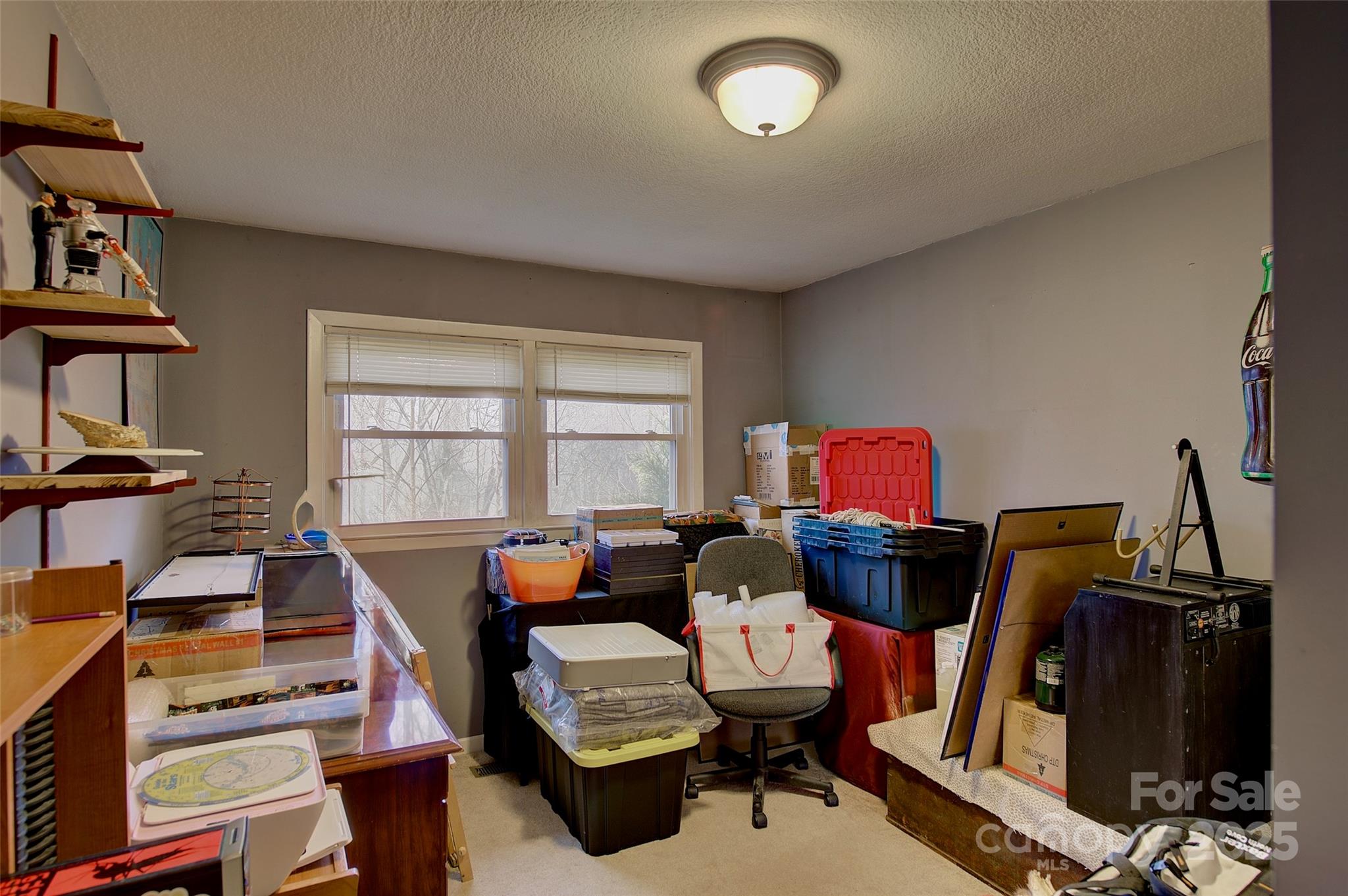 583 Deer Park Lake Road Spruce Pine, NC 28777 - Photo 8 of 24 a living room with furniture a flat screen tv and a window