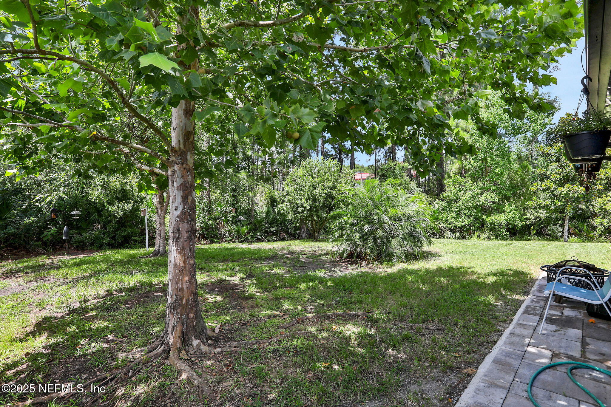 35 Root Lane St. Augustine, FL 32084 - Photo 34 of 37 a view of a field with a tree