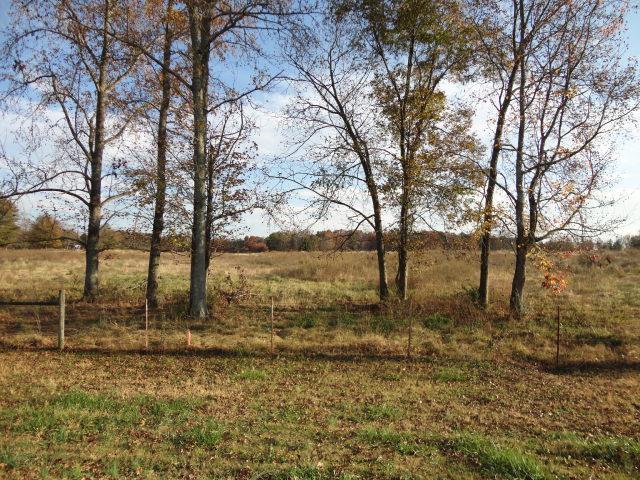 0 Craft Road Statham, GA 30666 - Photo 1 of 1