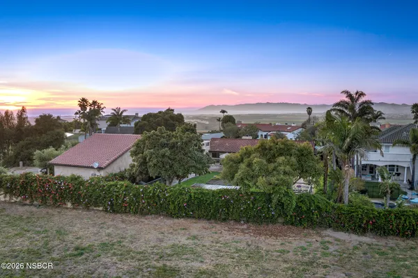 a view of a yard in front of a house with a yard