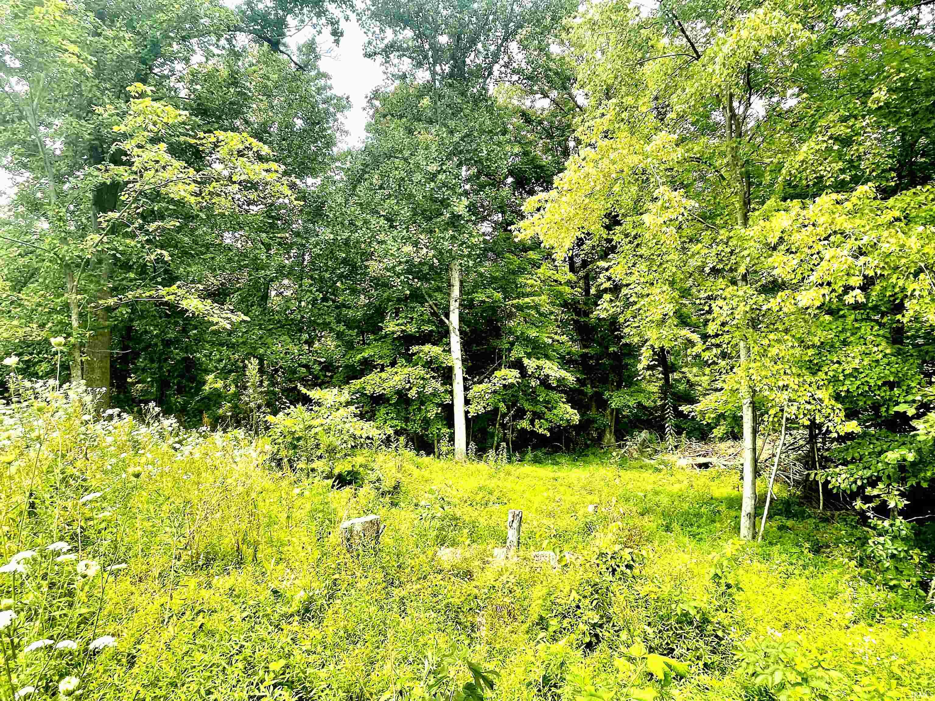 5330 West Laswell Road Eckerty, IN 47116 - Photo 15 of 36