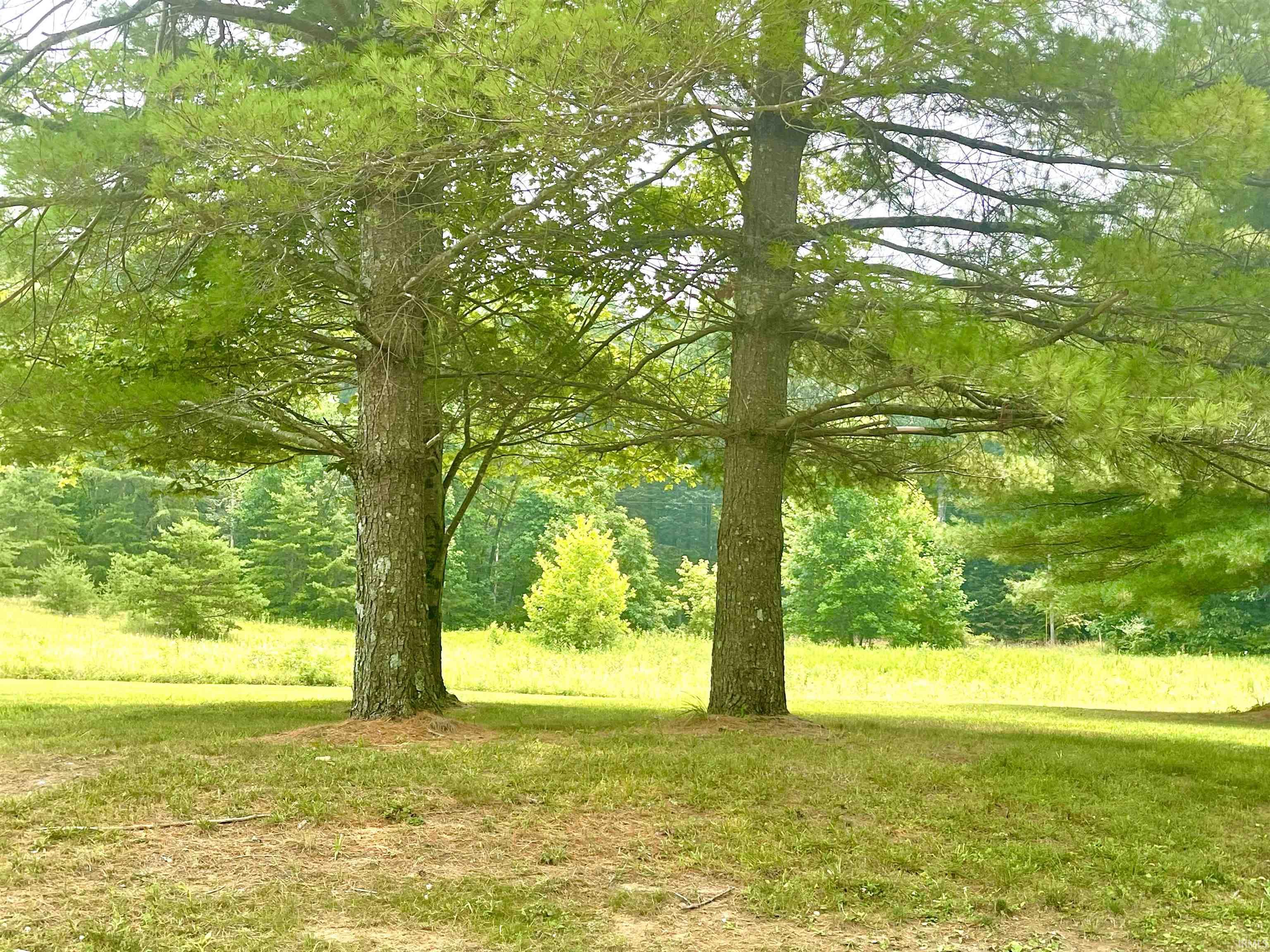 5330 West Laswell Road Eckerty, IN 47116 - Photo 17 of 36