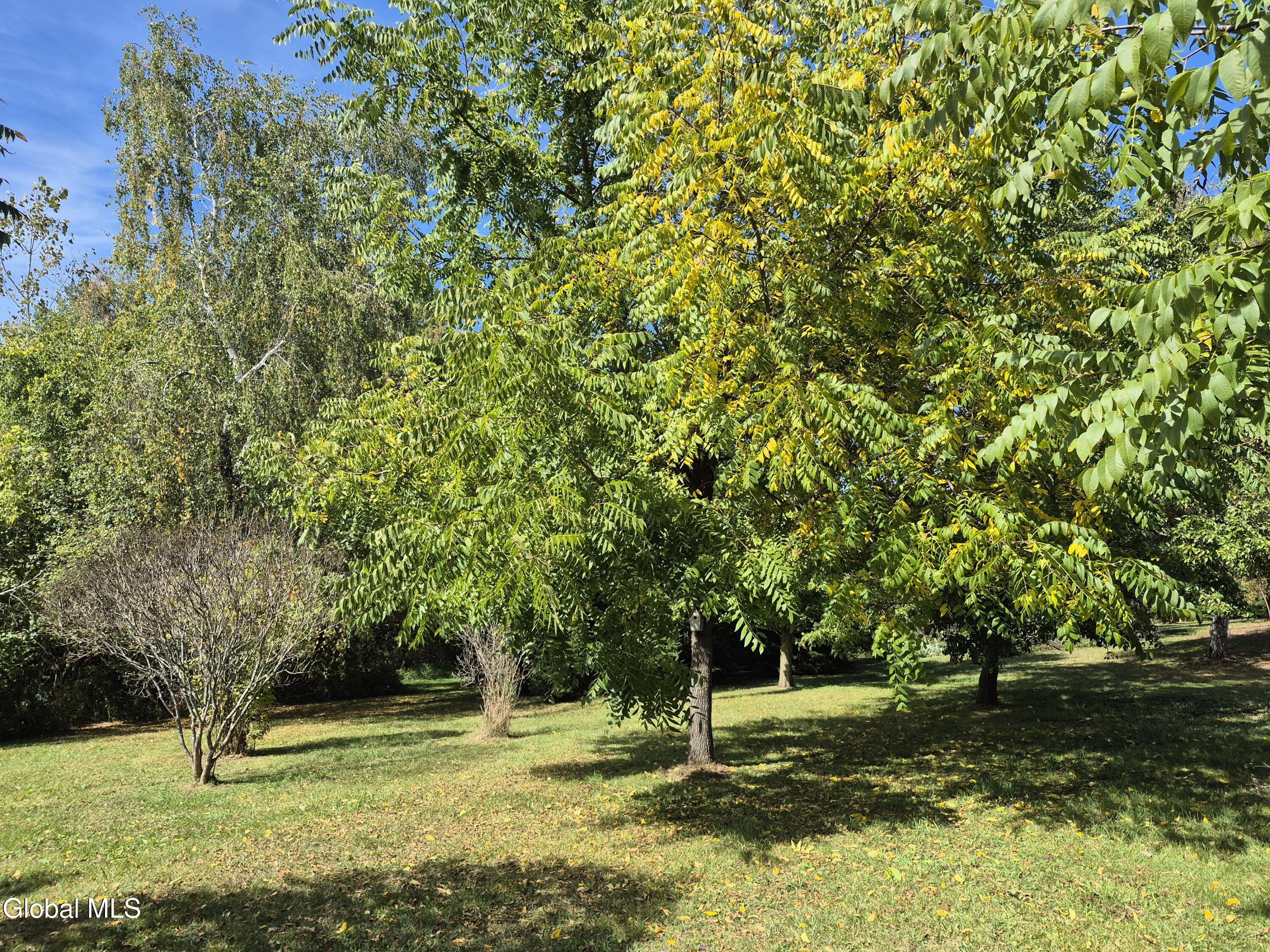 217 Keesler Corners Road Fort Plain, NY 13339 - Photo 29 of 47 20250920_113816