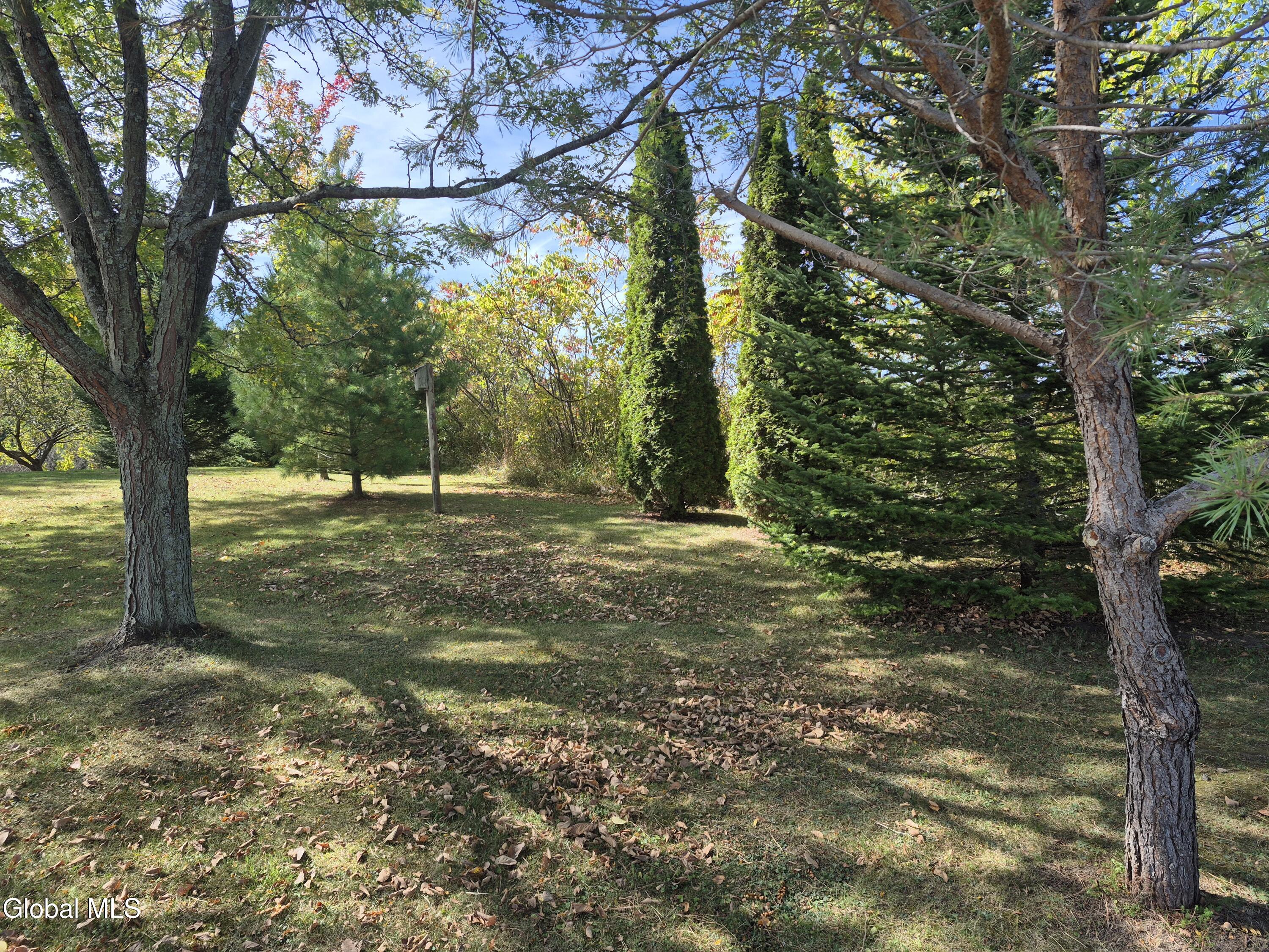 217 Keesler Corners Road Fort Plain, NY 13339 - Photo 36 of 47 20250920_113430