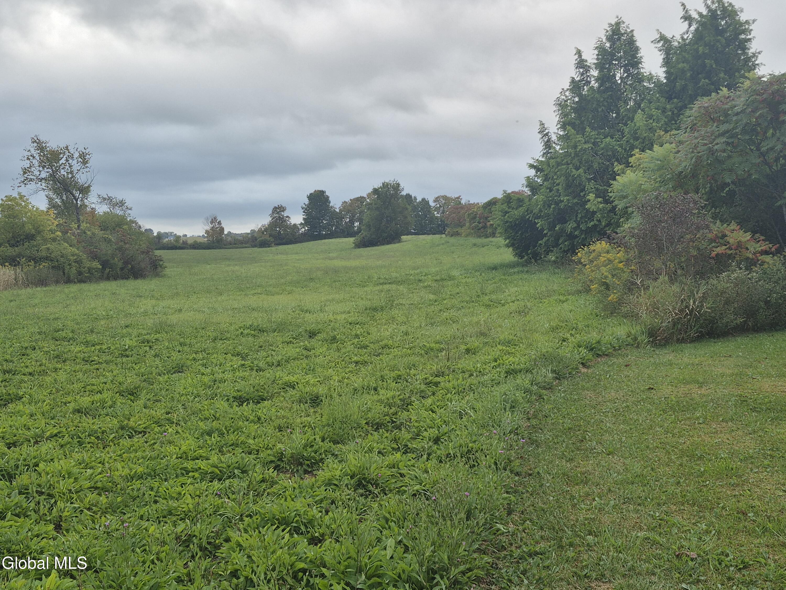 217 Keesler Corners Road Fort Plain, NY 13339 - Photo 38 of 47 20250919_075919