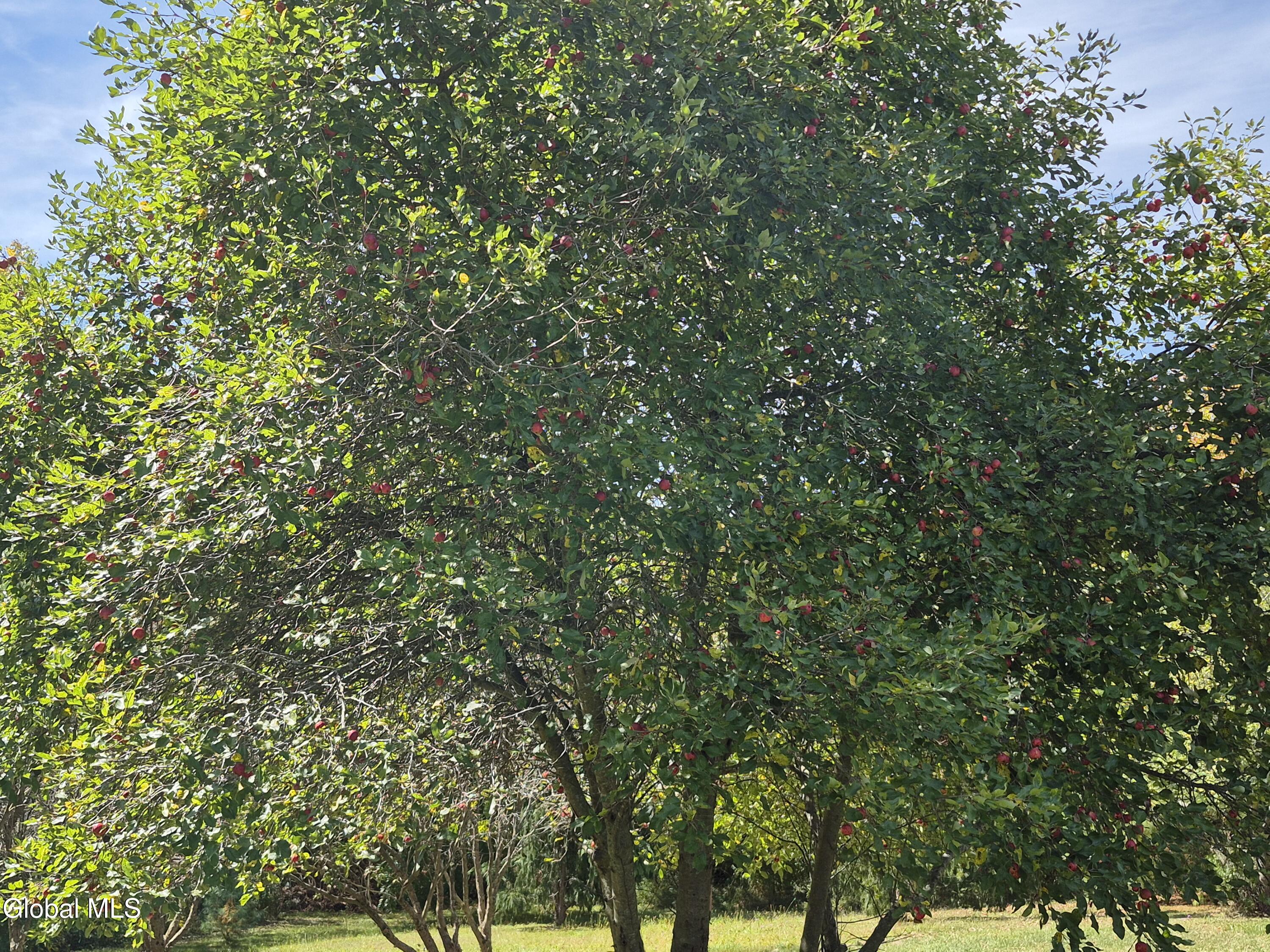 217 Keesler Corners Road Fort Plain, NY 13339 - Photo 39 of 47 20250920_134021