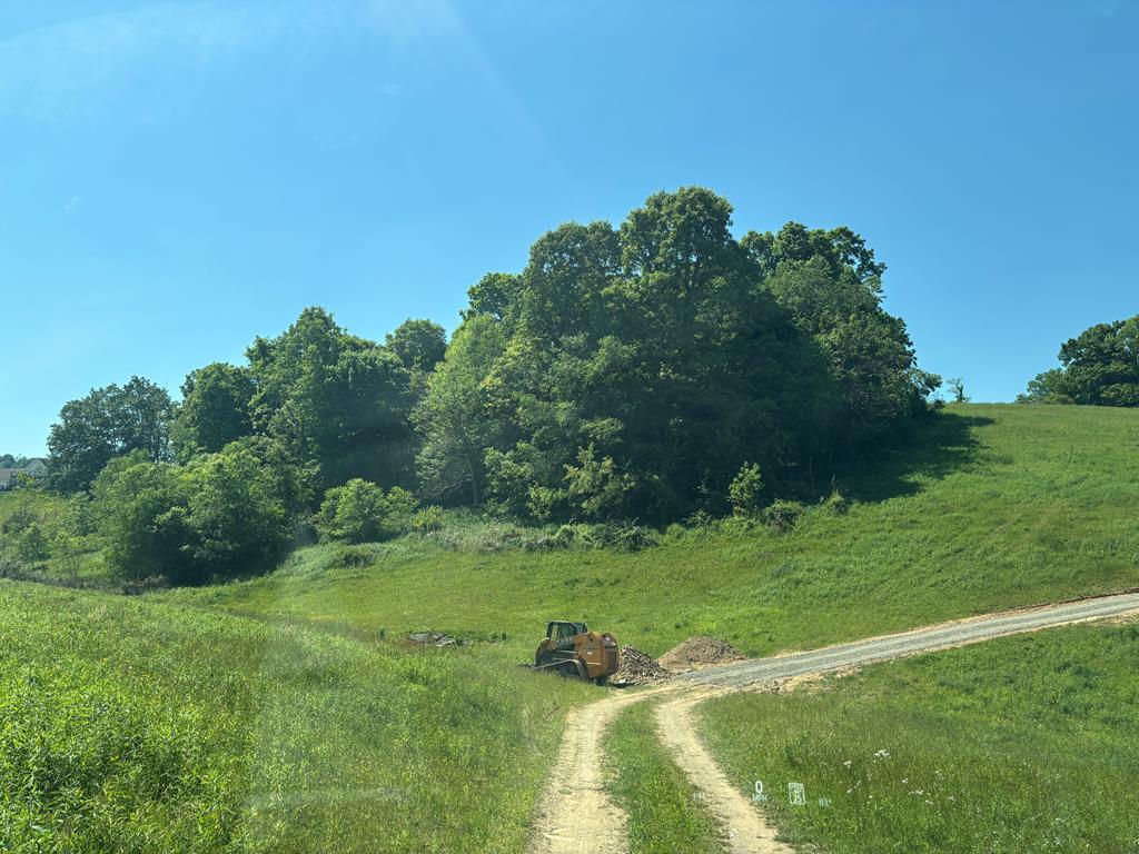Tbd Yellow Springs Road, Unit 10 Meadowview, VA 24361 - Photo 10 of 14 Gallery Image 10