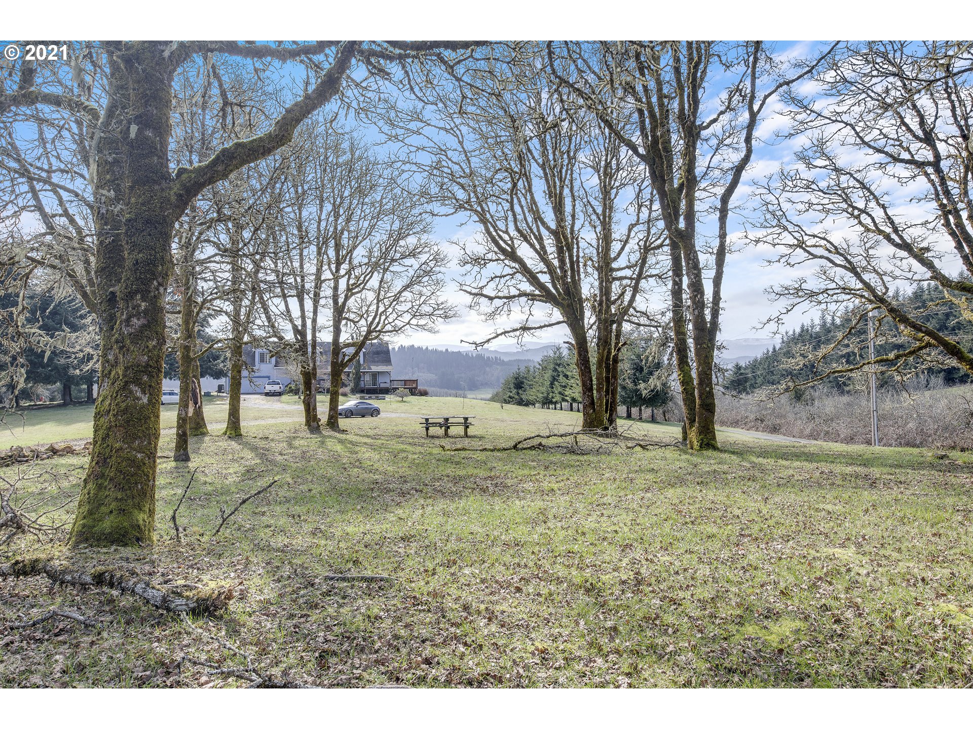 46400 Southwest Hebo Road Grand Ronde, OR 97347 - Photo 23 of 26 a view of a yard with a tree