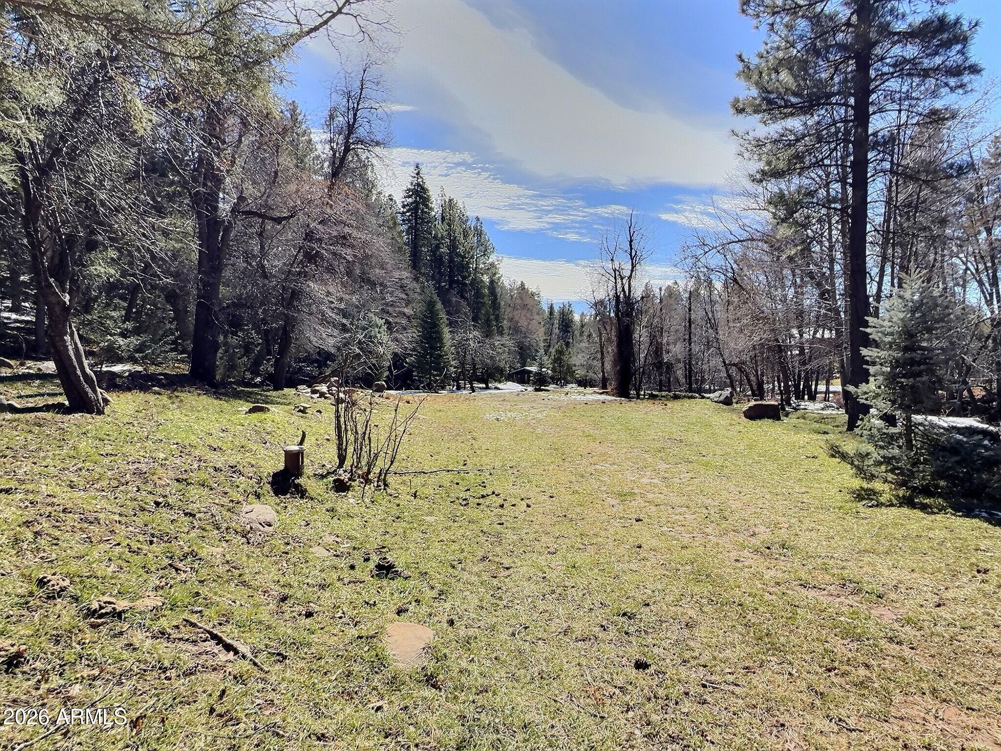 415 East Rim Estates Trail Payson, AZ 85541 - Photo 47 of 76 a view of a yard with a house