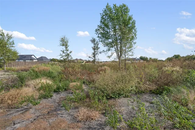 a view of a field with trees in the background