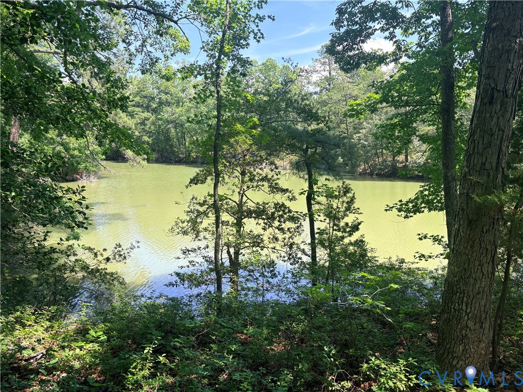 0 Millenbeck Prong Road Lancaster, VA 22503 - Photo 2 of 10