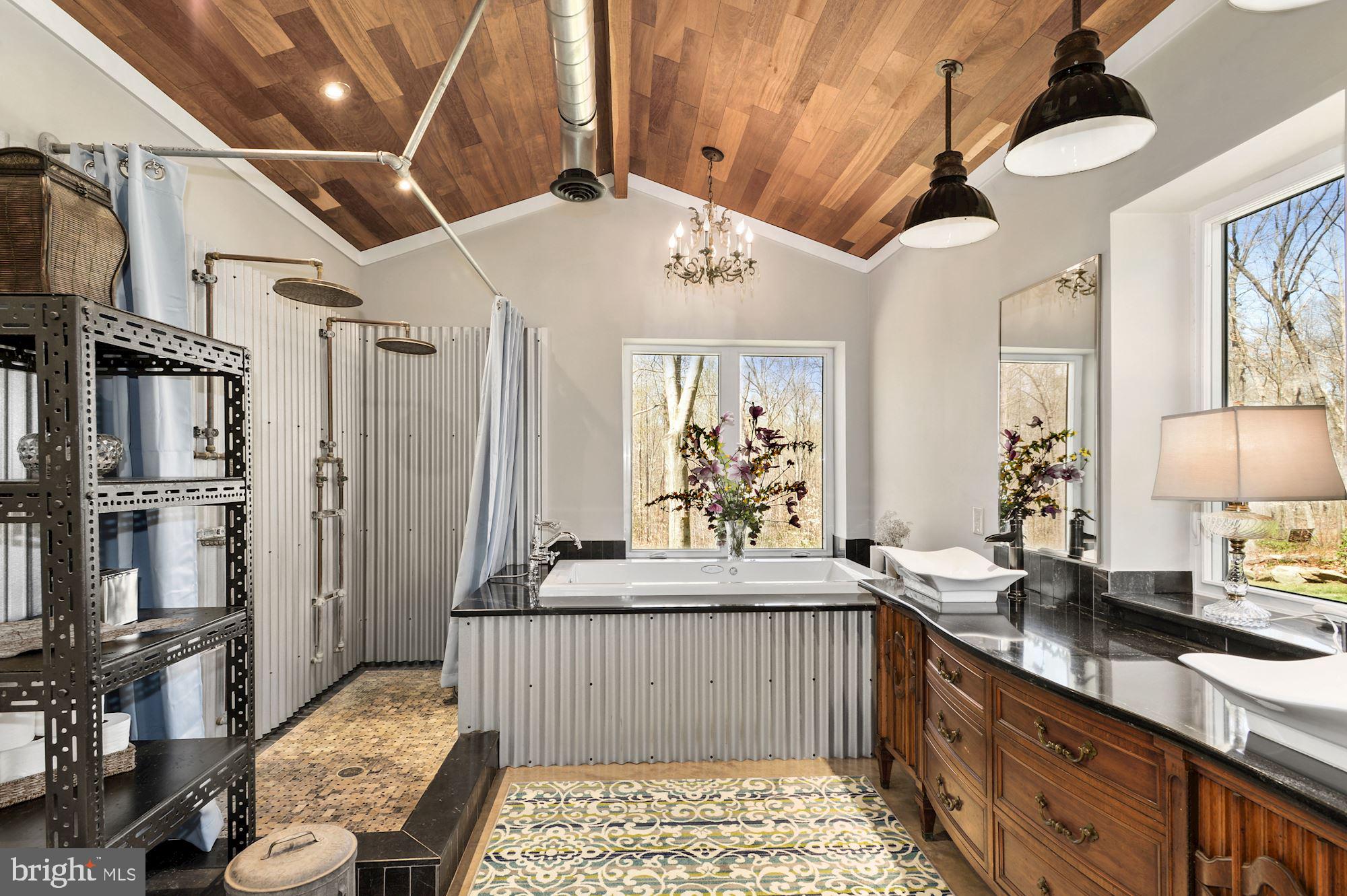 6480 Fireside Place Marshall, VA 20115 - Photo 16 of 36 AMAZING master bathroom