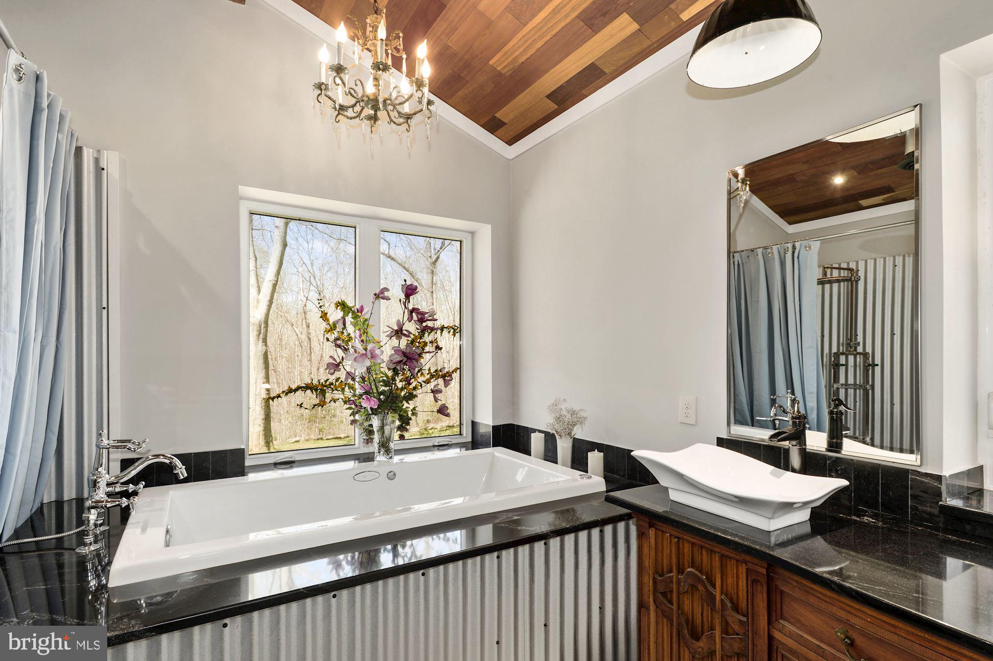 6480 Fireside Place Marshall, VA 20115 - Photo 18 of 36 Spa tub in master bathroom