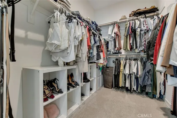 a view of cabinets a potted plant and windows in a room