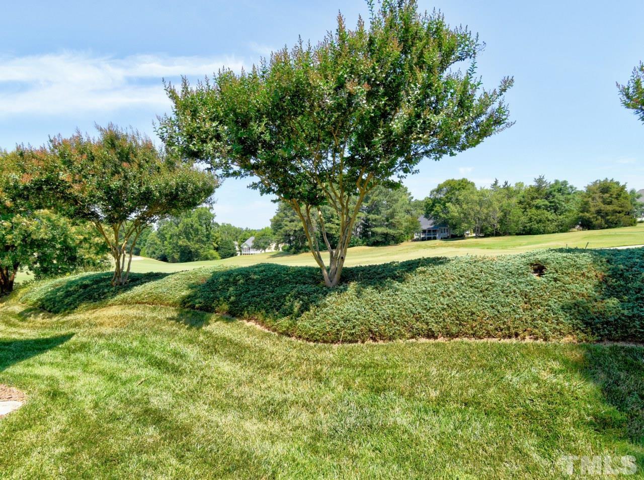112 Poppy Hills Court Raleigh, NC 27603 - Photo 37 of 42 a view of a garden with a tree