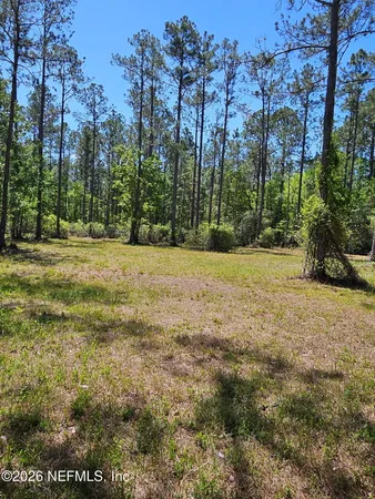 a view of a field with trees in the background