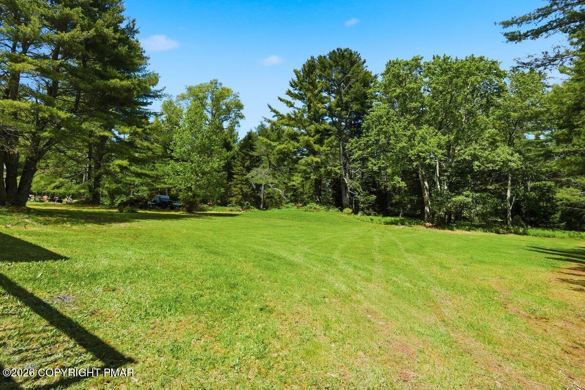 155 Blooming Grove Road Hawley, PA 18428 - Photo 7 of 41 a view of yard with green space