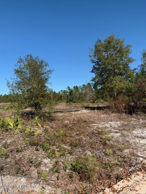 15373 Bullock Bluff Road Bryceville, FL 32009 - Photo 11 of 12 IMG_3876