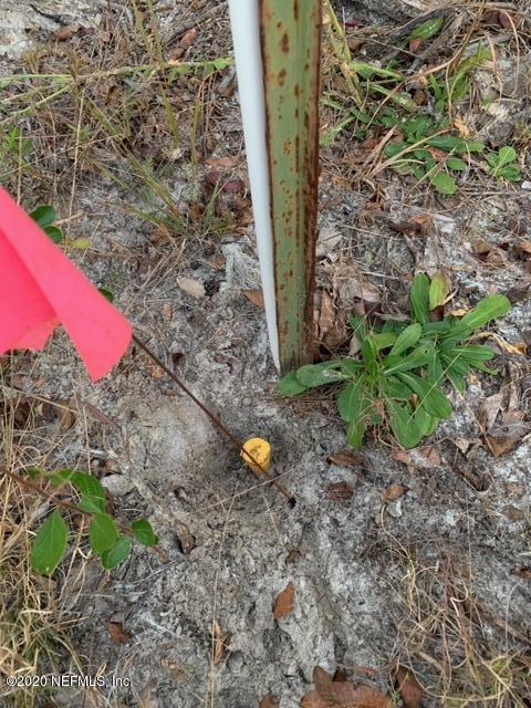 IMG_0363 (2)