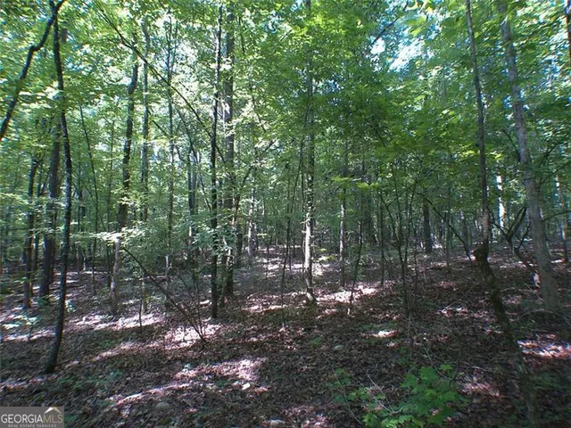 $650,000 | 104 Lo Vly Drive, Eatonton, GA 31024