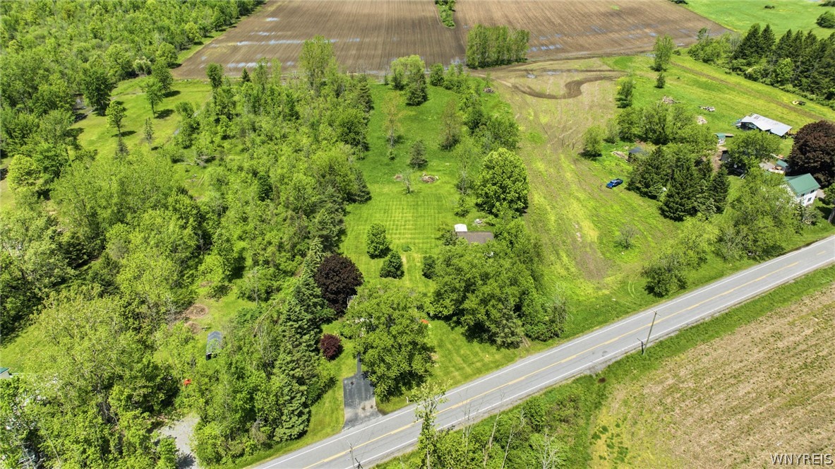 12318 Buckwheat Road Newstead, NY 14001 - Photo 47 of 49