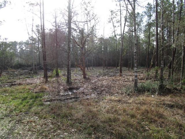 0 Rhonda Road Pearl River, LA 70452 - Photo 2 of 4