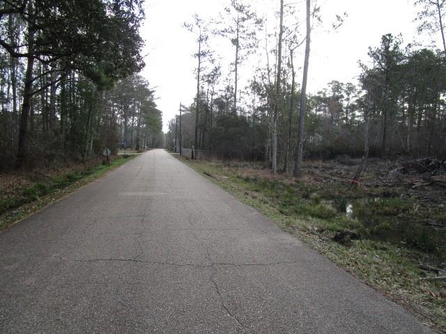 0 Rhonda Road Pearl River, LA 70452 - Photo 4 of 4