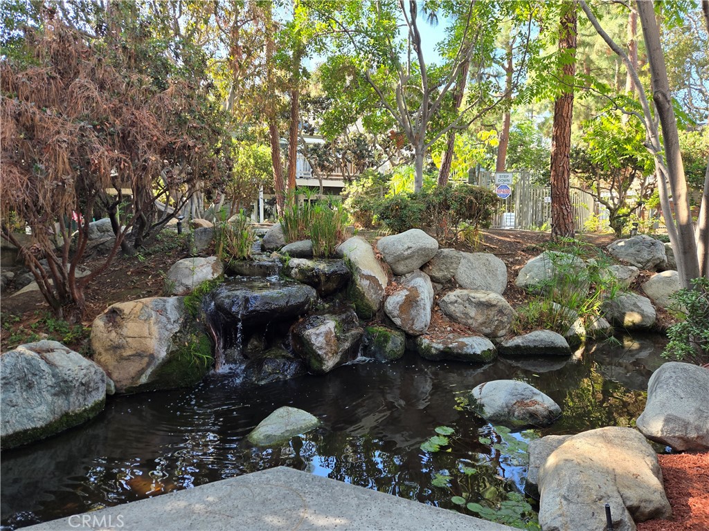 783 Grayling Costa Mesa, CA 92626 - Photo 20 of 25 a picture of outdoor space with lots of plants and trees