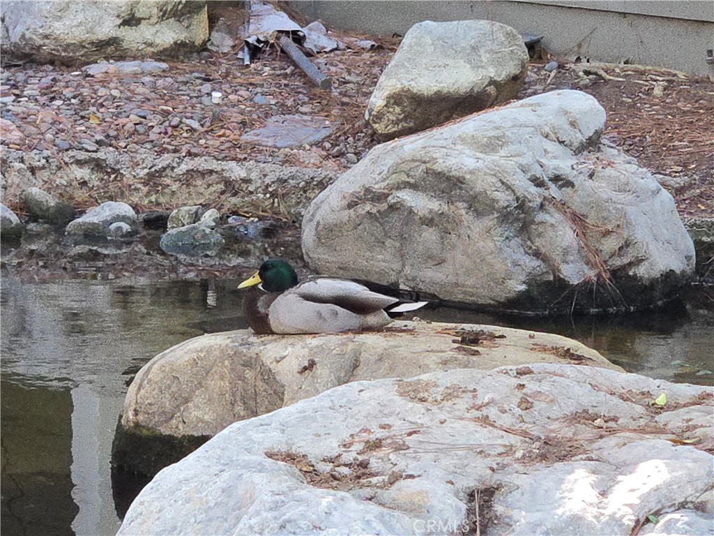 783 Grayling Costa Mesa, CA 92626 - Photo 22 of 25 a view of a wooden floor near a lake
