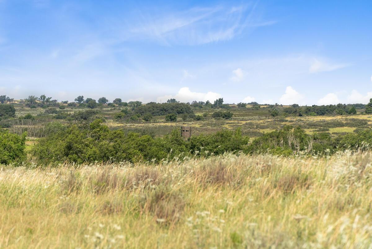 Bar T Ranch Shamrock, TX 79079 - Photo 12 of 18 Bar_T_Ranch-012_Land